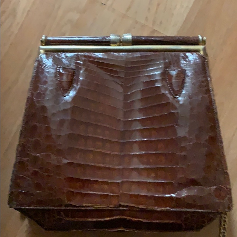 Alligator Pause - image 1